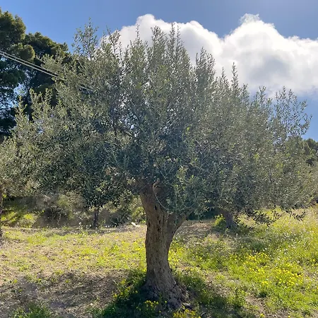 Vista Mare Con Piscina, Giardino E Parcheggio Privato *
