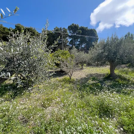 Vista Mare Con Piscina, Giardino E Parcheggio Privato
