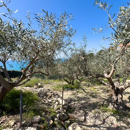 Vista Mare Con Piscina, Giardino E Parcheggio Privato * ליקאטה